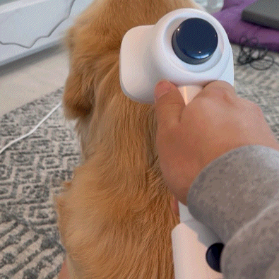 SilentGroom™ - 5 in 1 Pet Grooming Vacuum