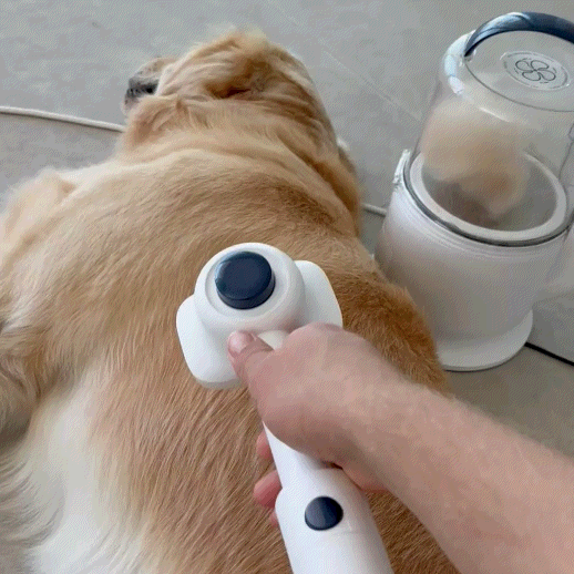 5-in-1 Grooming Vacuum